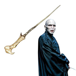 Lord Voldemort Asası