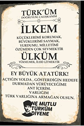 Andımız Türküm Doğruyum Çalışkanım Atatürk Retro Ahşap Poster