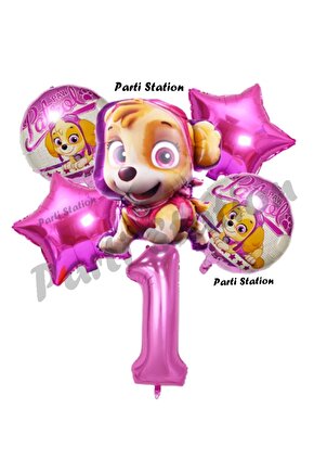 Paw Patrol Skye 1 Yaş Balon Set Paw Patrol Skye Doğum Günü Parti Balon Seti