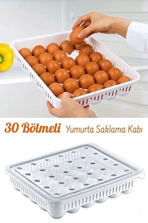 30lu Yumurta Saklama Kabı Steril Yumurtalık Kapaklı Yumurta Organizeri