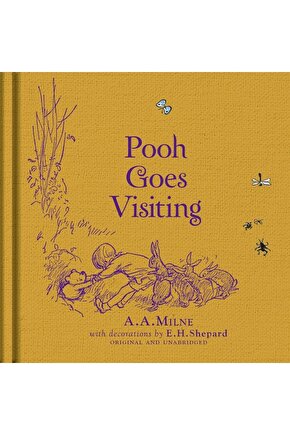 Winnie The Pooh: Pooh Goes Visiting