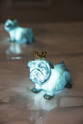 Mavi Kral Köpek 3D Led Işık