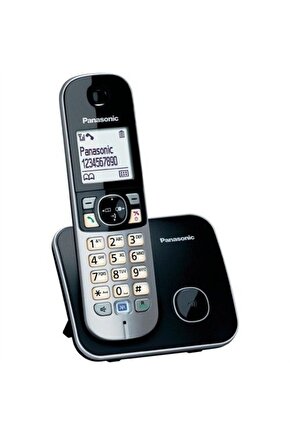 Panasonıc Kx Tg6811 Dect Telefon ,gri