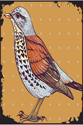 güzel kuş resmi estetik retro ahşap poster