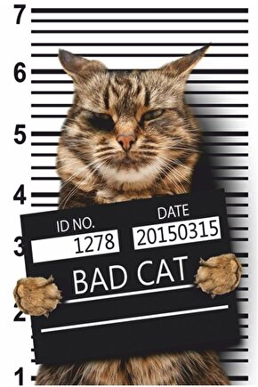 Suçlu Kötü Kedi Retro Ahşap Poster
