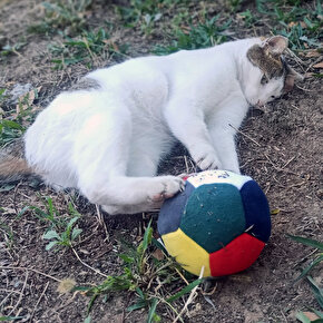 Özel Ekstra Yumuşak Yıkanabilir Peluş Kedi Köpek Oyuncak Topu 10 cm