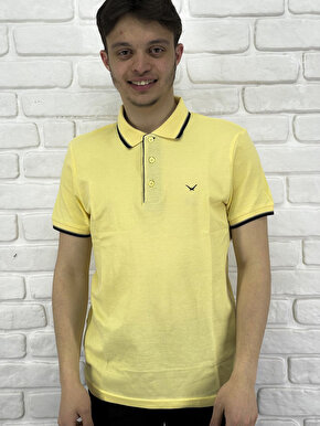 Erkek Lacost Çizgili Polo Yaka T-shirt CZDR