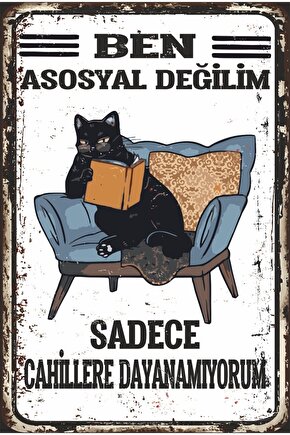 Cahillere Dayanamıyorum Kitap Okuyan Kedi Retro Ahşap Poster