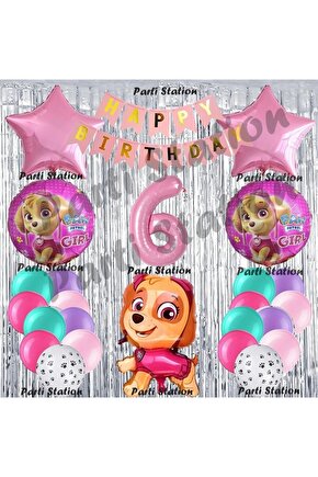 Paw Patrol Skye Balon Set 6 Yaş Paw Petrol Skye Pembe Konsept Doğum Günü Parti Folyo Balon Seti