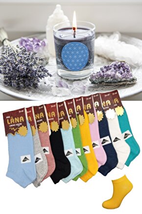 Çorabı Renkli (10 Çift) Likralı Pamuklu Penye Kadın Patik Çorap