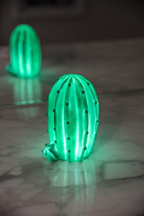 Texas Kaktüs 3D Led Işık (1)