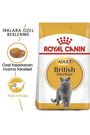 ® British Shorthair Yetişkin Kedi Maması 2 Kg