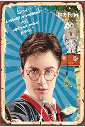 Harry Potter Sözleri Retro Ahşap Poster