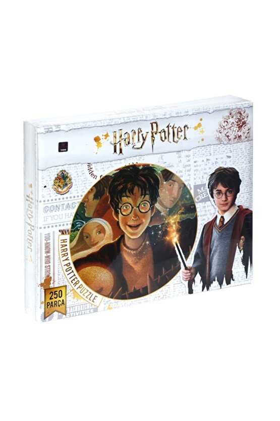 Harry Potter 250 Parça Puzzle
