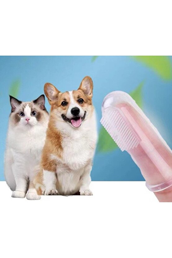 Himarry Evcil Hayvan Kedi Köpek Parmağa Takılan Diş Kaşıma Fırçası