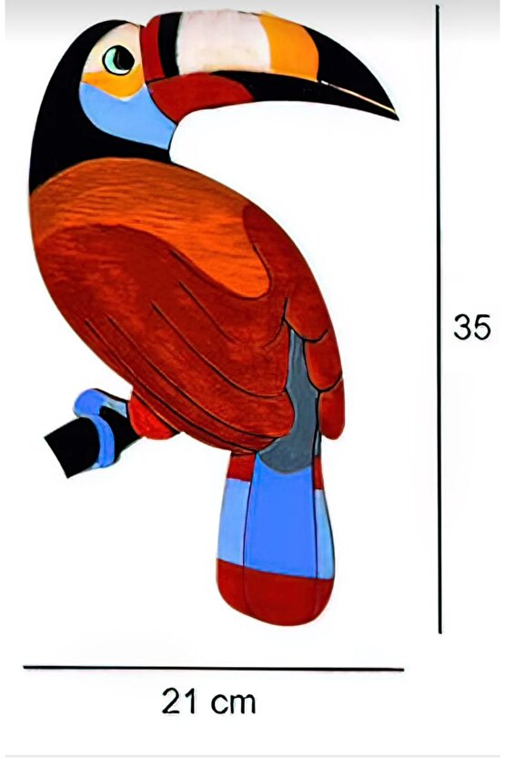 2li Tukan Kuşu Ahşap Duvar Dekoru