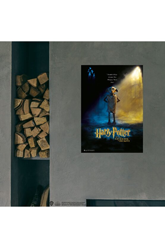 Sırlar Odası Dobby Posteri Lisanslı Kuşe Kağıt Hd Baskı