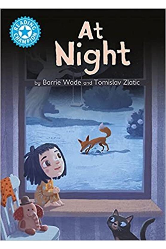 Reading Champion: At Night: Independent Reading Blue 4