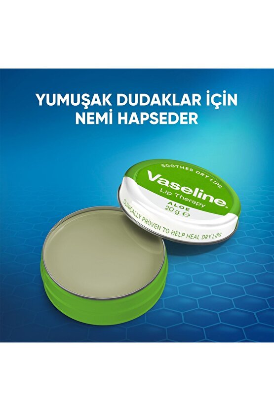 Dudak Kremi Lip Therapy Aloe Vera 20 gr 