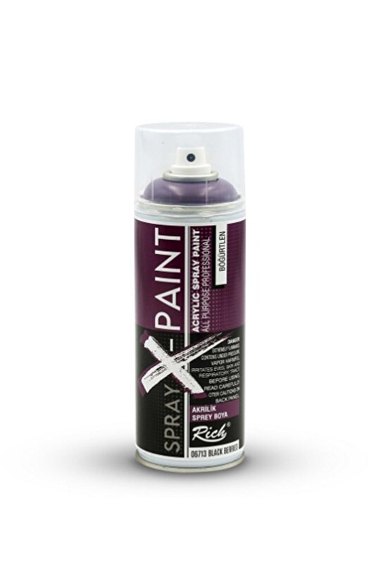 Spray X Paınt 400 Ml Böğürtlen