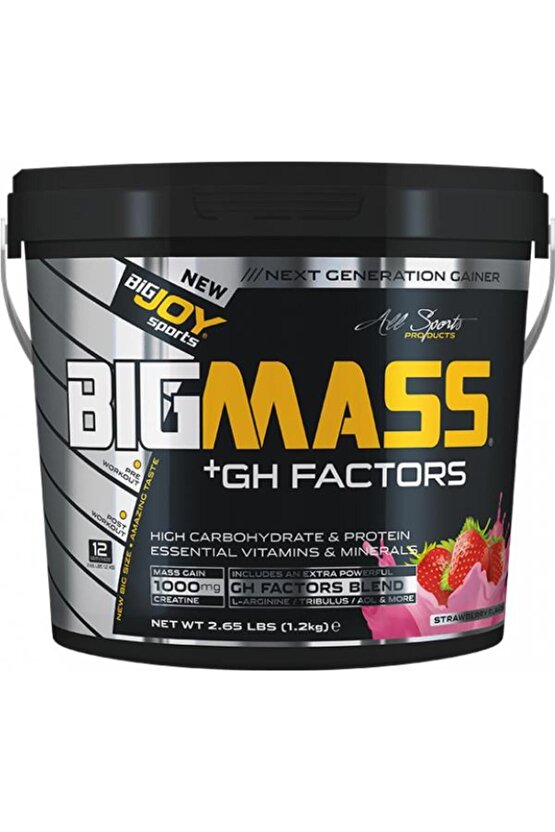 Bigmass Mass Gainer Gh Factors Karbonhidrat Protein Çilek Aroma 1200g