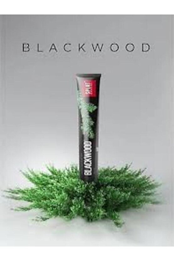 Blackwood Doğal Kömürlü Siyah Diş Macunu 4 Ton Beyaz 75 ml