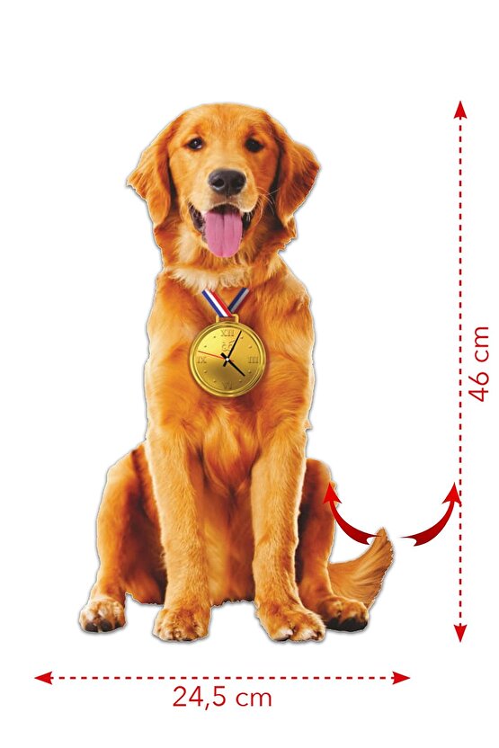 Golden Retriever Dekoratif Sarkaçlı Duvar Saati