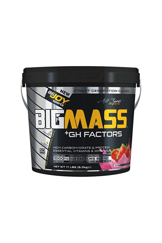 Bigjoy Big Mass Gh Factors 5000 gr Çilek Aromalı