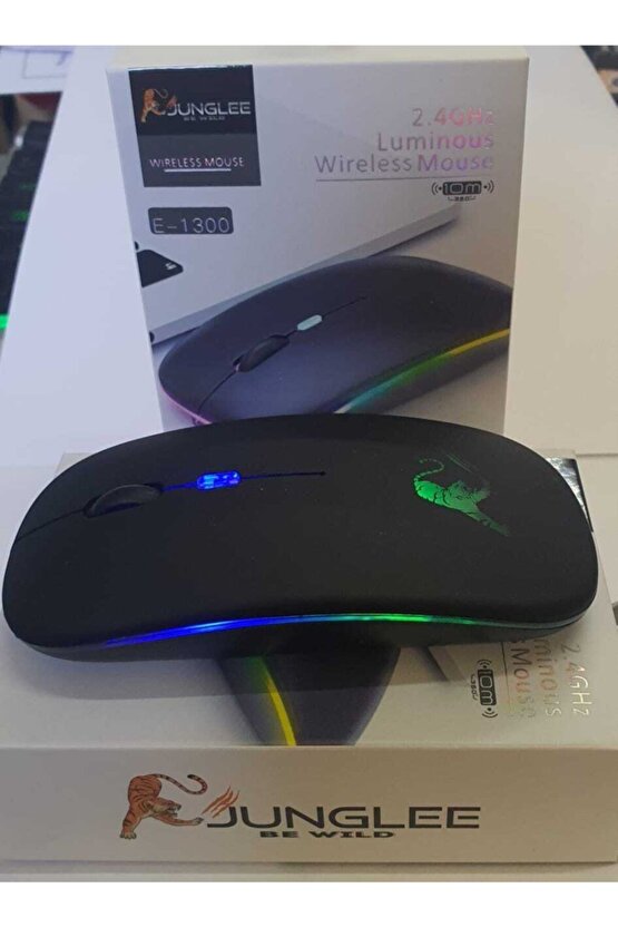 Şarjlı Kablosuz Mouse Sessiz 2.4 Ghz Usb Wireless 800-1200-1600 Ayarlanabilir Dpi Led Işıklı Slient