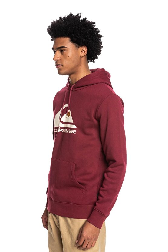 Eqyft04450 - Big Logo Hoodie Erkek Sweatshirt