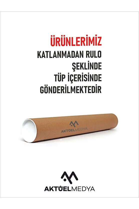 Matisse - Sanat - Soyut - Doğa - Yaşam ( Tekli Çerçevesiz ) Poster - Afiş - Tablo MKKM2005