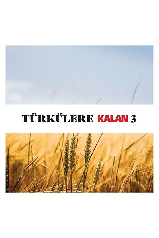 Türkülere Kalan 3 ( Çeşitli Sanatçılar ) 2 CD