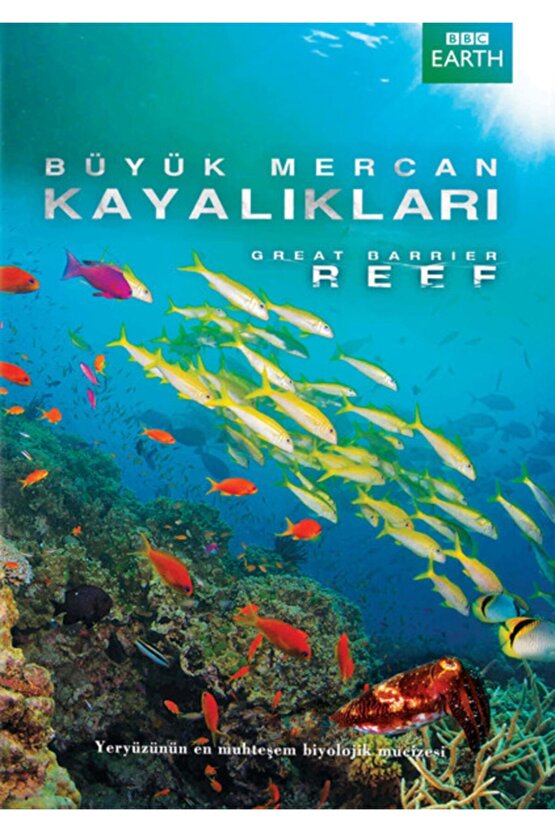 Great Barrier Reef - Büyük Meracan Kayaliklari