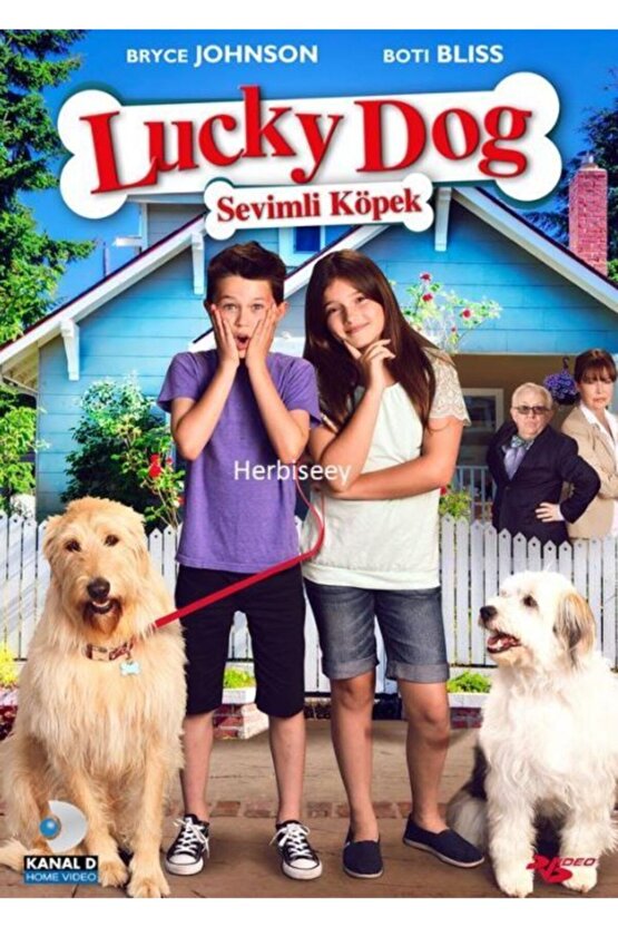 Sevimli Köpek ( Lucky Dog ) Dvd