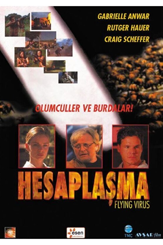 Flying Virus (hesaplaşma) Dvd