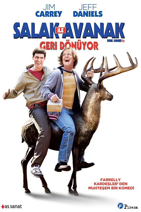 Salak ile Avanak Geri dönüyor  Dumb&Dumber To Dvd