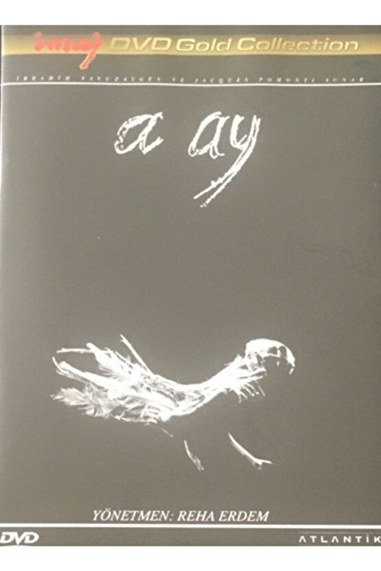 A Ay (1988)