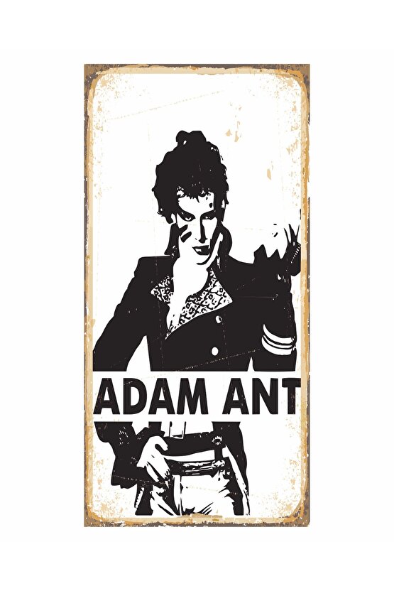 pop rock müzik efsanesi adam ant müzik ev dekorayon tablo mini retro ahşap poster