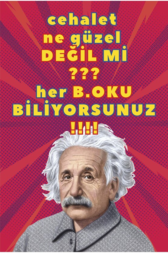 cehalet ne güzel değil mi albert einstein eğlenceli komik sözler duvar yazıları retro ahşap poster