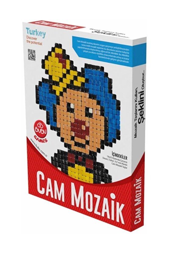 Cam Mozaik