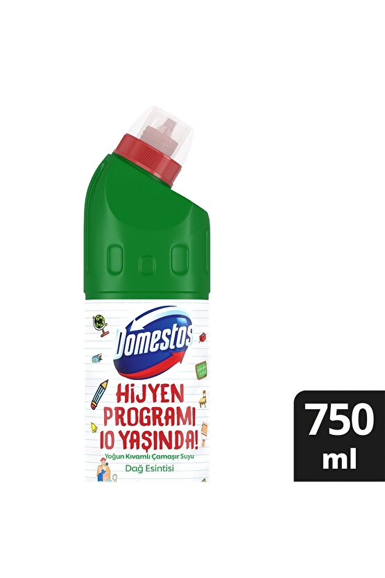 806 GR DAĞ ESİNTİSİ