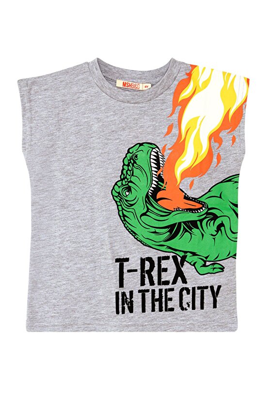 T-Rex Alev Erkek Çocuk Kolsuz Yazlık T-Shirt Şort Takım