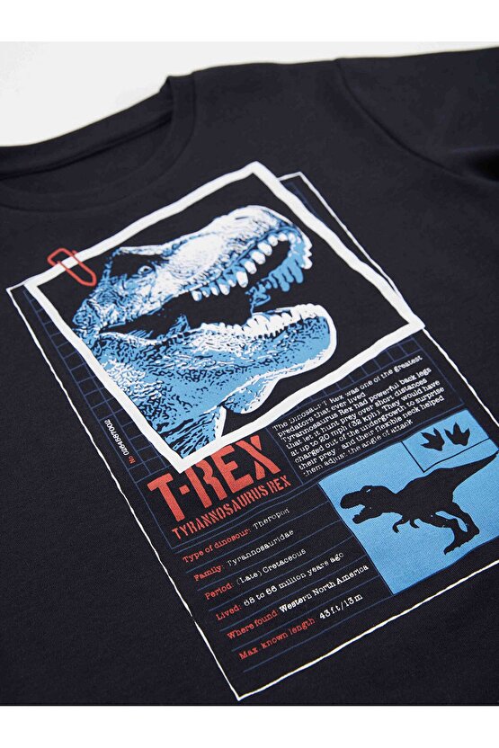 T-rex Info Erkek Çocuk T-shirt Kapri Şort Takım