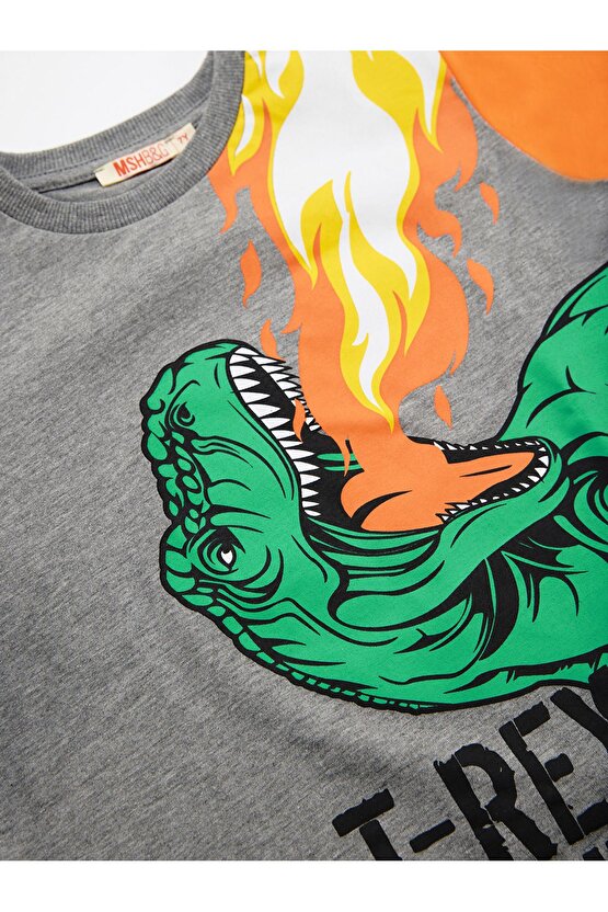 T-rex Dinozor Erkek Çocuk T-shirt Pantolon Takım