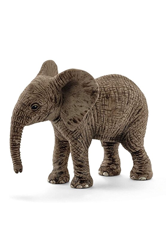 Schleich Afrika Fili Yavrusu 14763