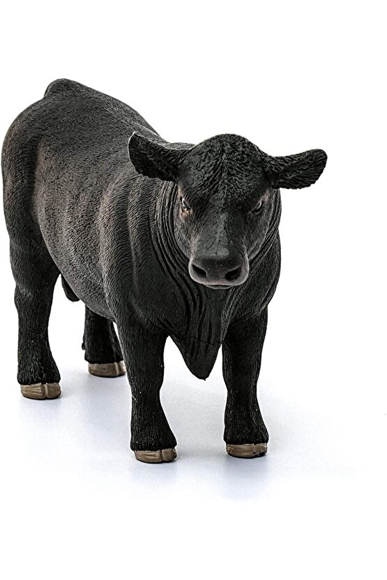 Cfw13879 Schleich Angus Boğa Siyah