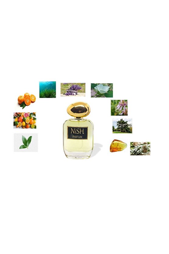 Nish Parfum M-2 Extrait De Parfum 50ml Fresh-aqva