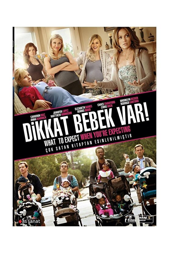 Dvd-dikkat Bebek Var - What To Expect When Youre Expecting