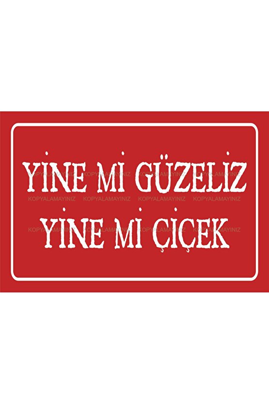 yine mi güzeliz yine mi çiçek komik esprili sözler duvar yazıları tablo retro ahşap poster