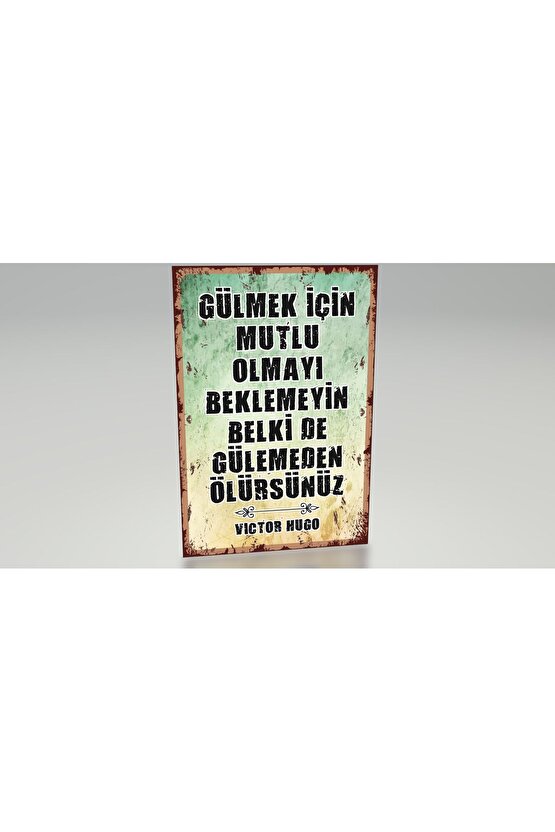 motivasyon sözleri Victor Hugo özlü sözler duvar yazıları retro ahşap poster